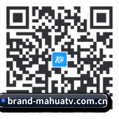 华为星粉版 二维码